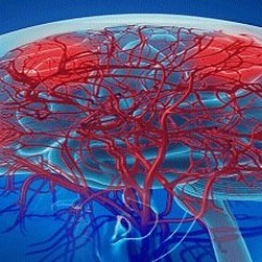 Neurological Oncology