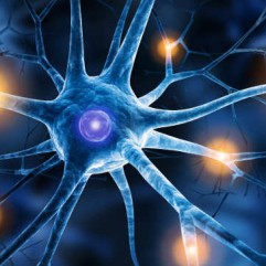 Neuromuscular Diseases